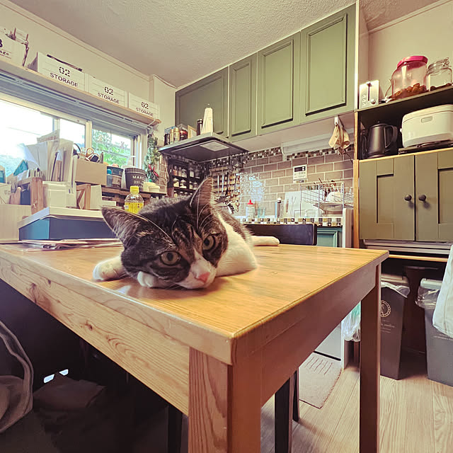 sumoanzuさんの実例写真