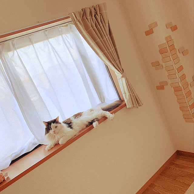 壁/天井のインテリア実例 - 2019-09-09 22:08:07