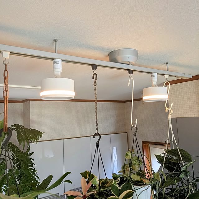 ot-gardenさんの部屋