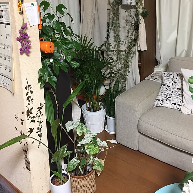 Harumiさんの実例写真