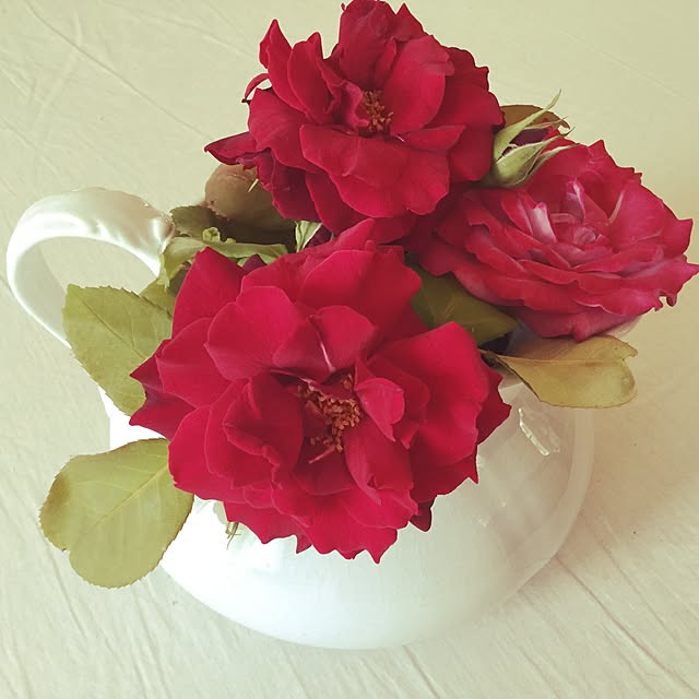 france_rose_laceさんの実例写真