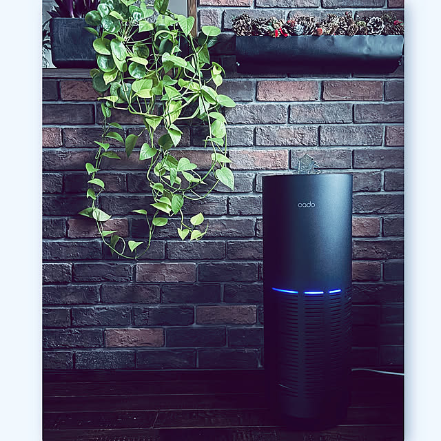 usagiさんの実例写真