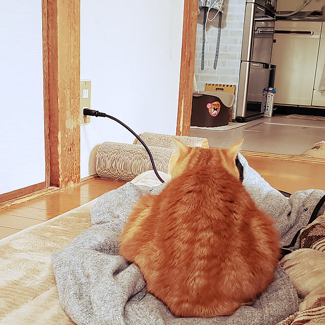 fruityanさんの実例写真