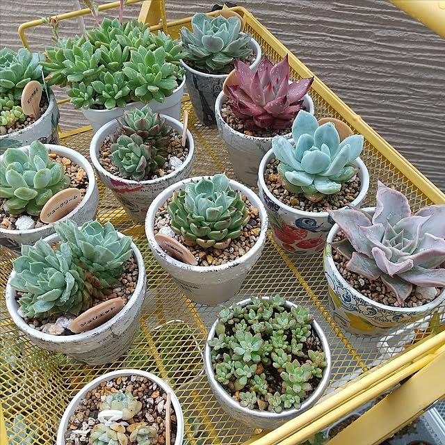 meiさんの部屋