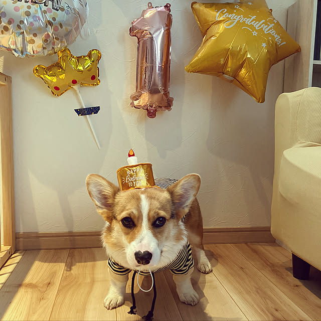 bobさんの実例写真