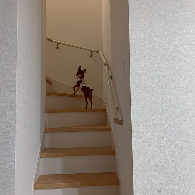 miiiiさんの部屋