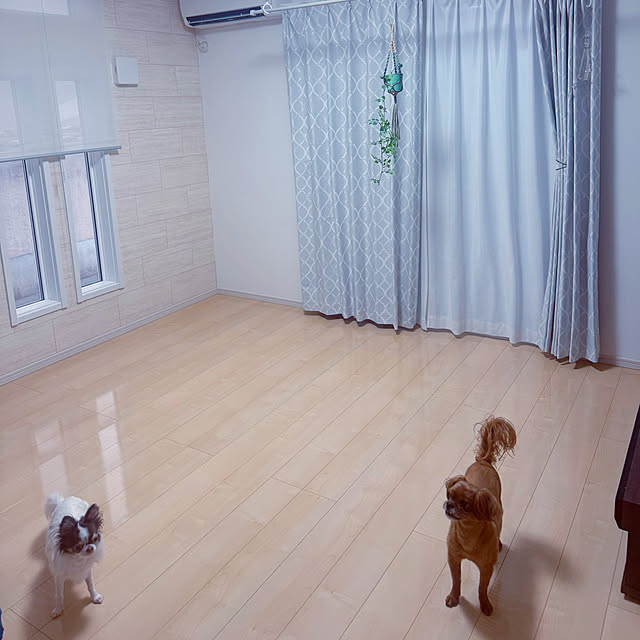 makoさんの実例写真