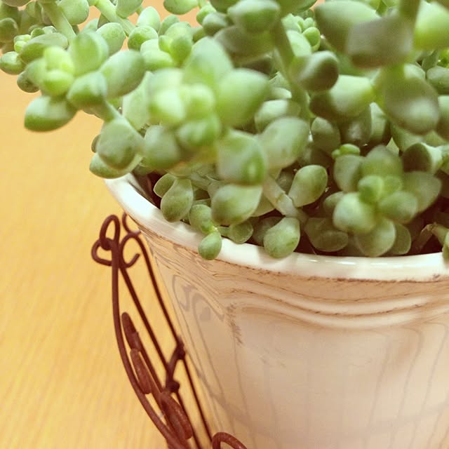 junさんの実例写真
