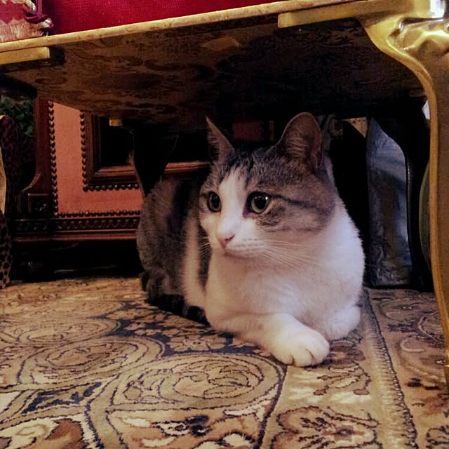 emmyyさんの実例写真