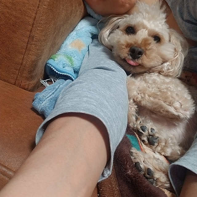 miwaさんの実例写真