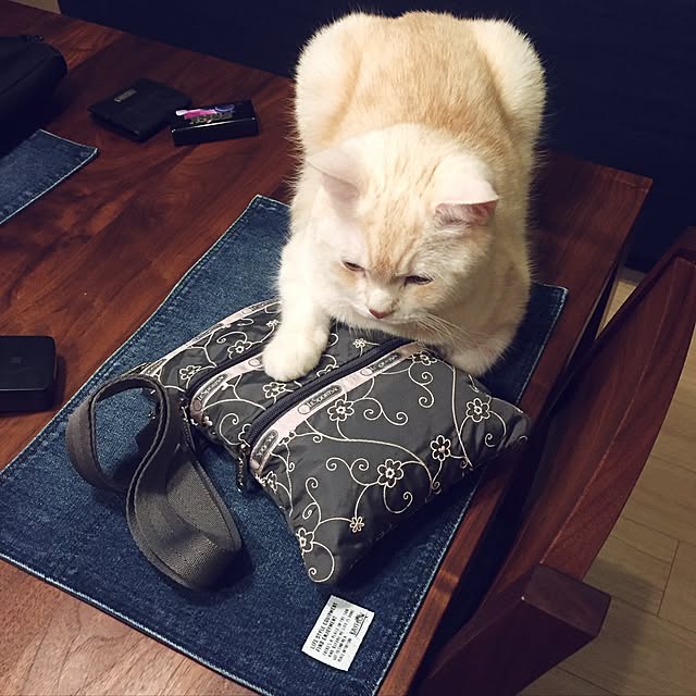 y.k.0123さんの実例写真