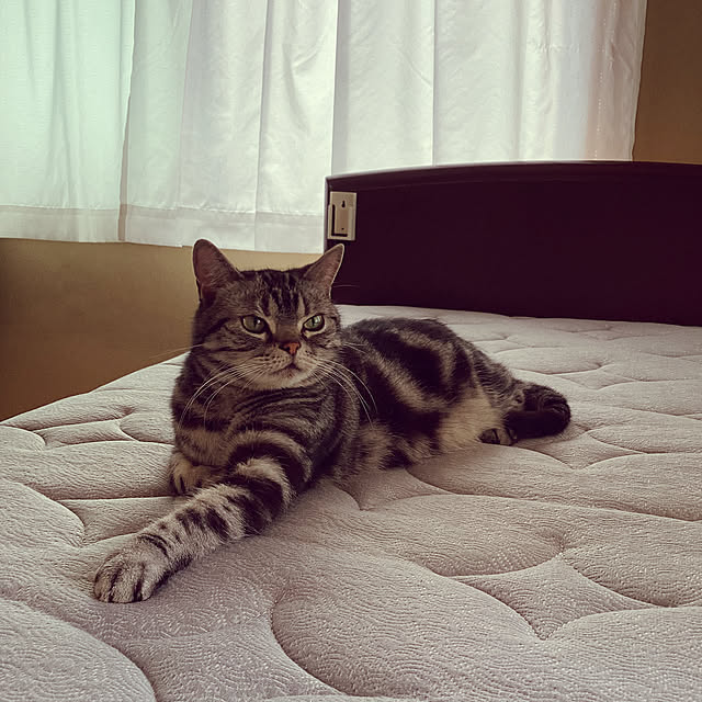 richanさんの実例写真