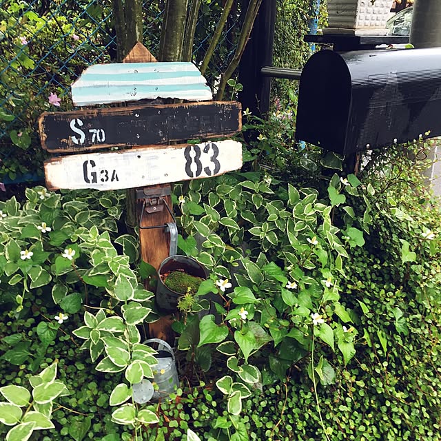 mamiさんの実例写真