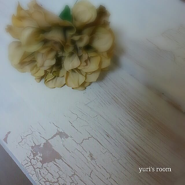 chanYuriさんの実例写真