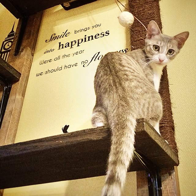 pepperさんの実例写真