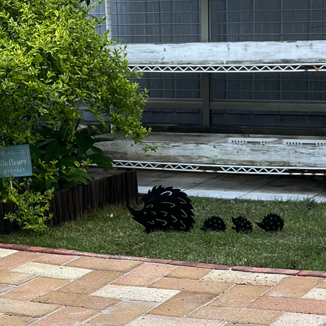 felicityさんの部屋