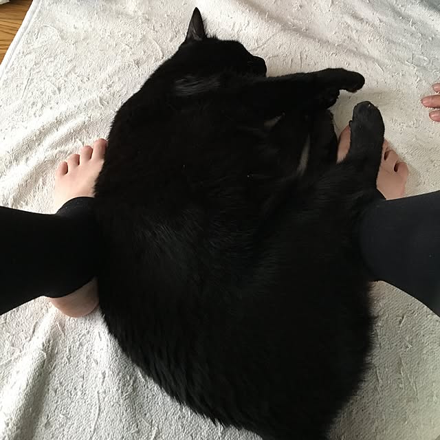 keiko-sawakaさんの実例写真