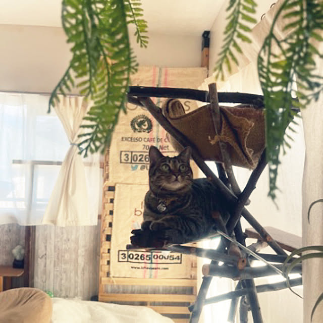 Mさんの部屋
