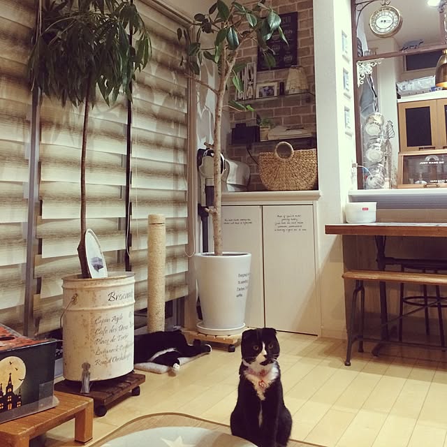 mikan0607さんの実例写真