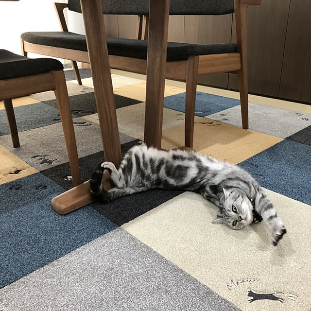 NANACOCOさんの実例写真