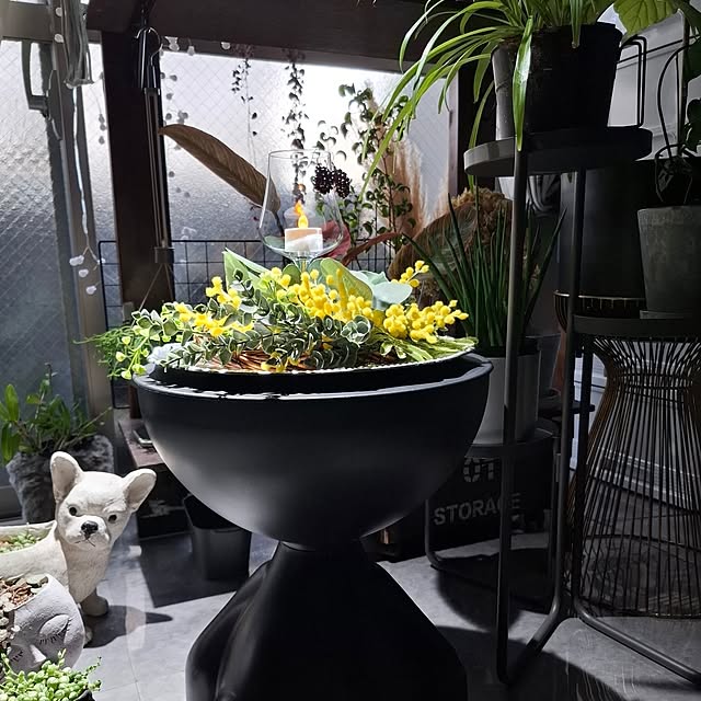 noaさんの実例写真