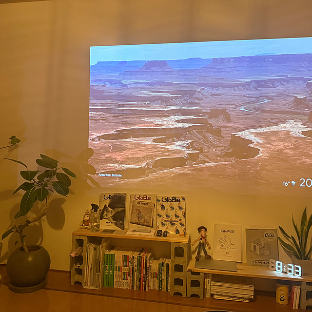 kokinさんの実例写真