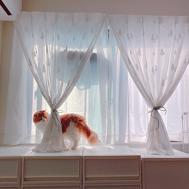 H.Tさんの実例写真