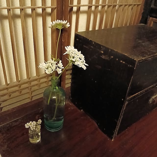 hodohodoさんの部屋