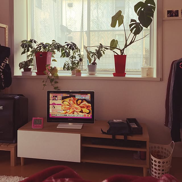 Ayumiさんの実例写真