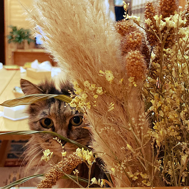 1005さんの実例写真