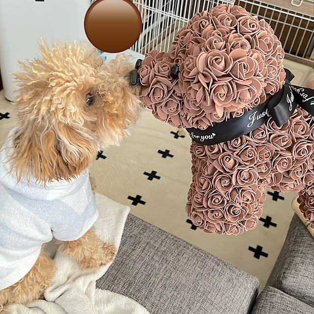 eriharuさんの実例写真