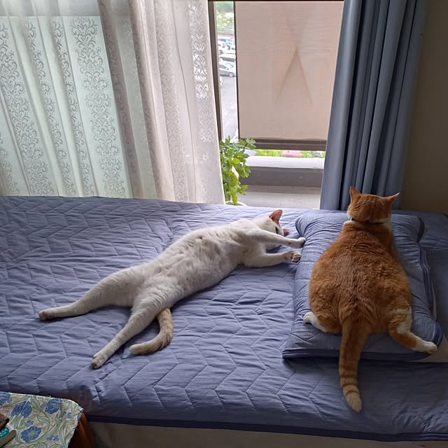 NOAHさんの部屋