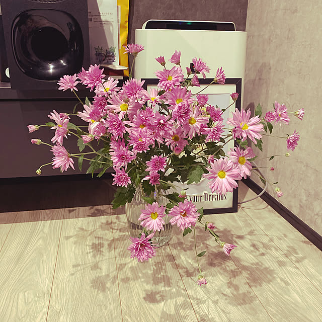 remonさんの実例写真