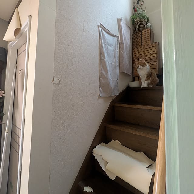 mori_6_12さんの部屋