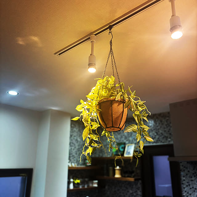 kukiharaさんの実例写真