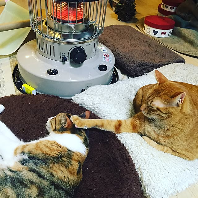 Minamiさんの実例写真