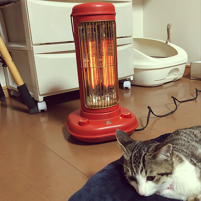nacchi4さんの実例写真
