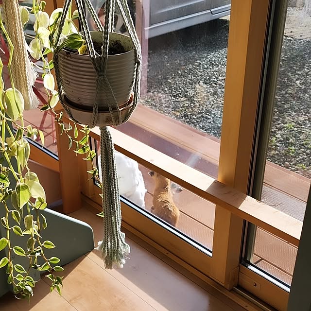 saさんの部屋