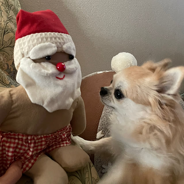 natsumiさんの部屋