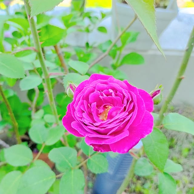 hiromimiさんの部屋