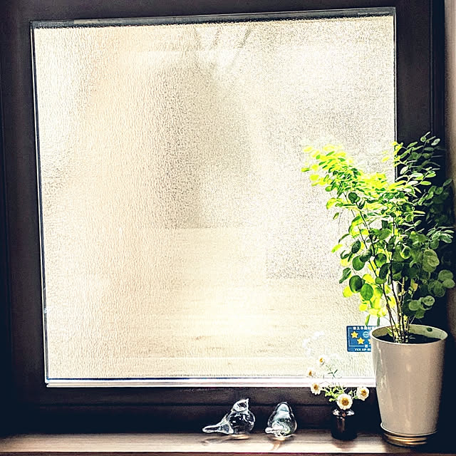 shizuponさんの実例写真
