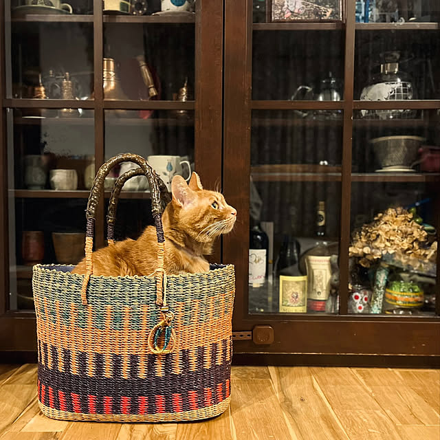 Maruさんの部屋