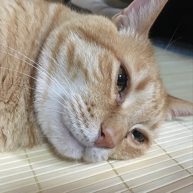 tututu0204さんの部屋