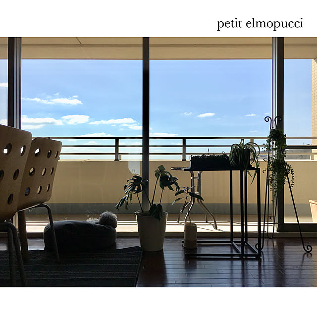 petit.elmopucciさんの実例写真