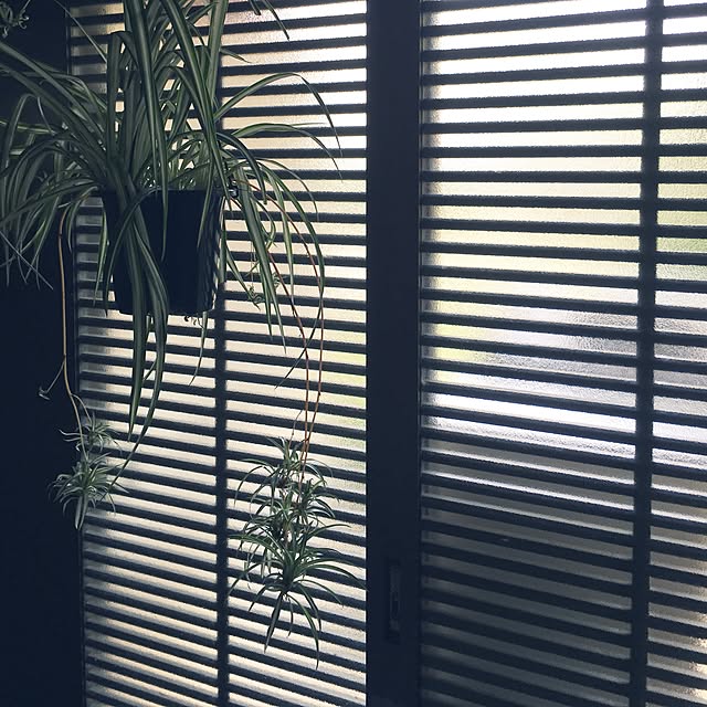 anri38さんの実例写真