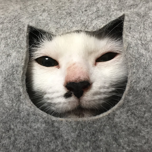 pansanさんの実例写真
