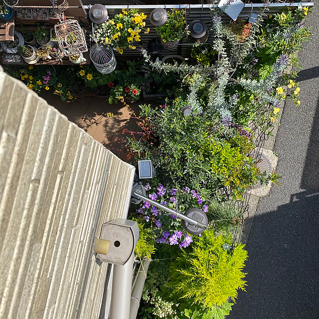 fu-mufumuさんの部屋