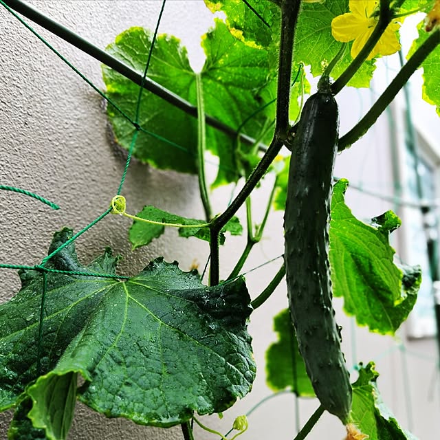 katさんの部屋