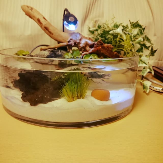 kamelloさんの実例写真