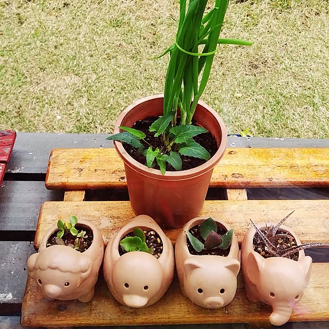 katさんの実例写真